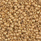 Miyuki rocailles Perlen 8/0 - Matte 24kt gold plated 8-191F